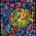 快手什么作品涨粉丝快-快手热门作品如何快速吸粉？缩略图