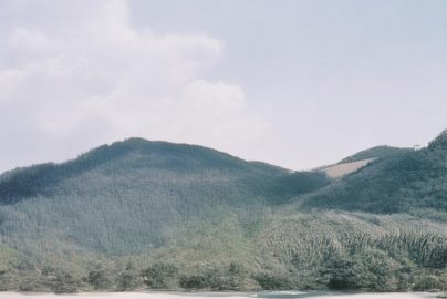 微博看粉丝怎么是推荐关注-粉丝推荐关注机制是什么？缩略图